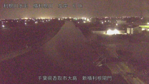 yoko2026022421_image