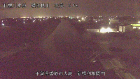 yoko2026022423_image