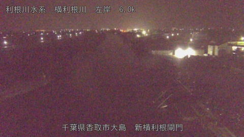 yoko2026022501_image