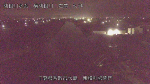 yoko2026022503_image