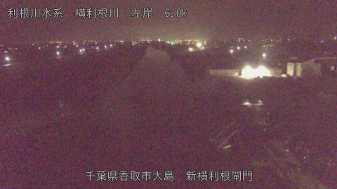 yoko2026022504_image