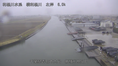 yoko2026022507_image