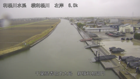 yoko2026022508_image