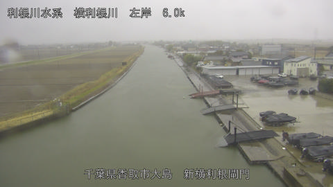 yoko2026022509_image