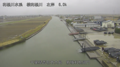 yoko2026022510_image