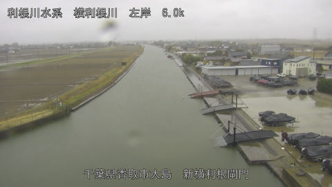 yoko2026022511_image