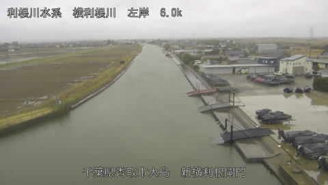 yoko2026022512_image