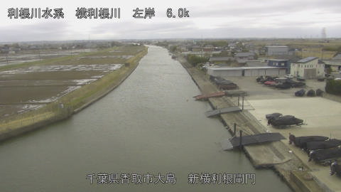 yoko2026022614_image