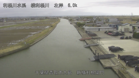 yoko2026022615_image