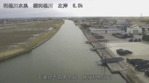 yoko2026022616_image