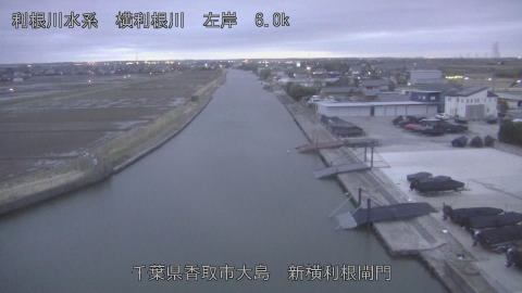 yoko2026022618_image