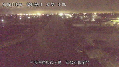 yoko2026022619_image