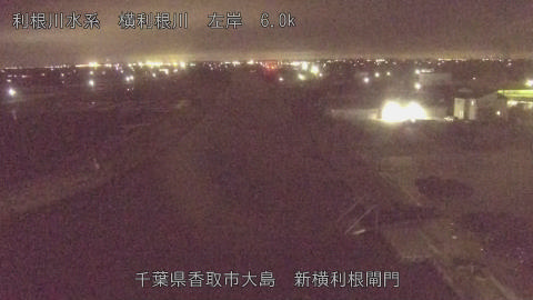 yoko2026022621_image