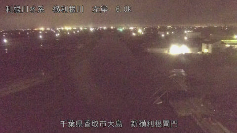 yoko2026022623_image