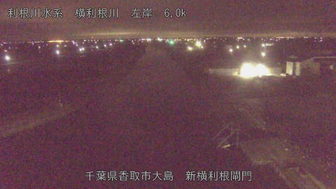 yoko2026022704_image