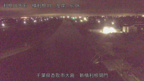 yoko2026022705_image