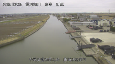 yoko2026022707_image