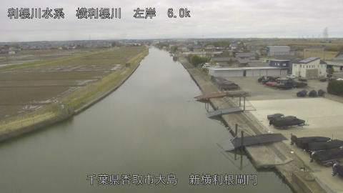 yoko2026022708_image