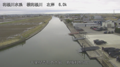 yoko2026022709_image