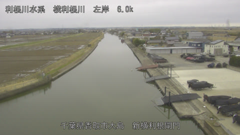 yoko2026022711_image