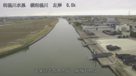 yoko2026022712_image