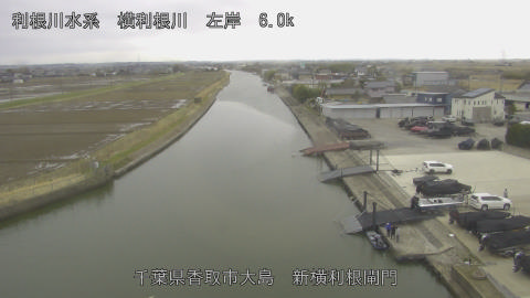 yoko2026022713_image