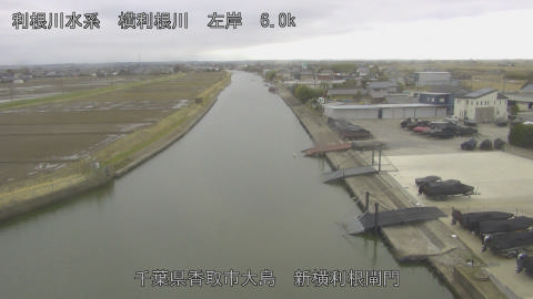 yoko2026022714_image