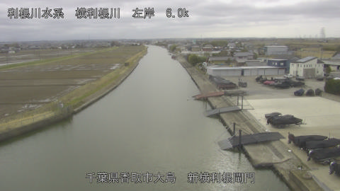 yoko2026022715_image