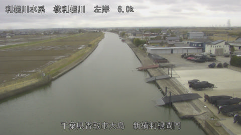 yoko2026022716_image