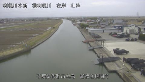 yoko2026022717_image