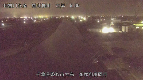 yoko2026022720_image