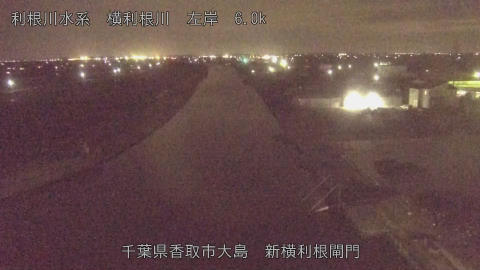 yoko2026022721_image