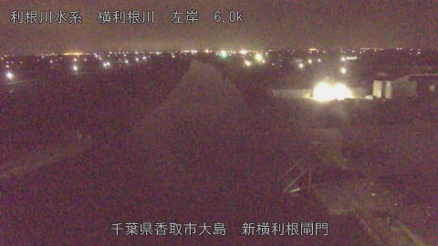 yoko2026022802_image