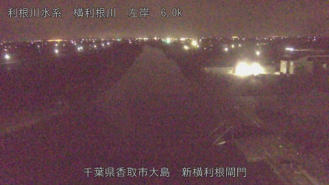 yoko2026022803_image