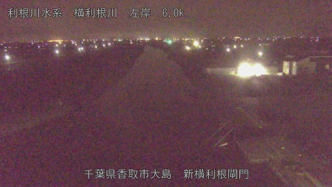 yoko2026022804_image