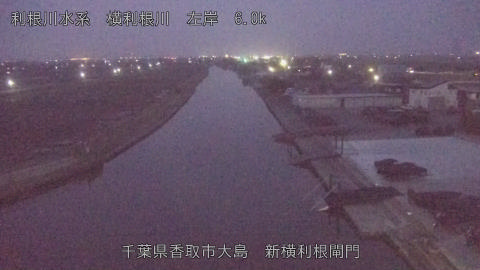 yoko2026022806_image