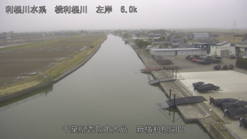 yoko2026022807_image