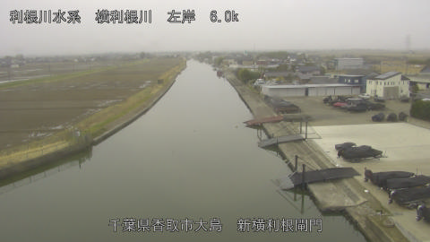 yoko2026022808_image