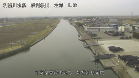 yoko2026022809_image