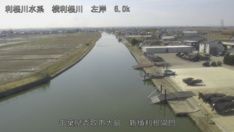 yoko2026022812_image