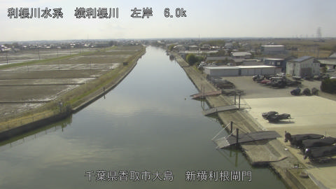 yoko2026022813_image