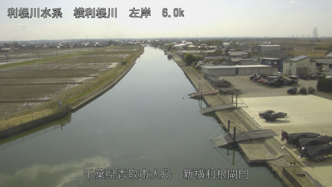 yoko2026022814_image