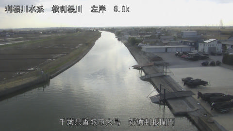 yoko2026022815_image