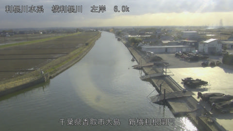 yoko2026022816_image