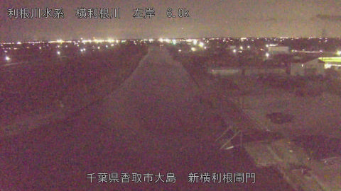 yoko2026022819_image