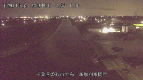 yoko2026022820_image