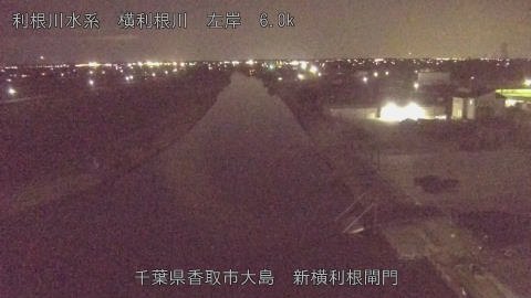 yoko2026022821_image