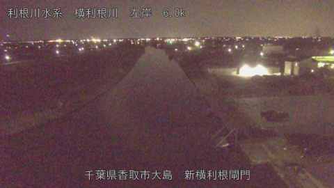 yoko2026022822_image