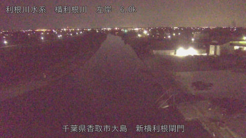 yoko2026030101_image