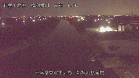 yoko2026030102_image